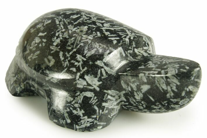 Carved Chinese Writing Rock Turtle - Quebec, Canada #367029